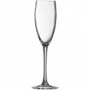 Champagne Flute - Arc