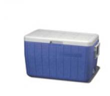 Esky 45 litre