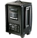 100W Portable PA System